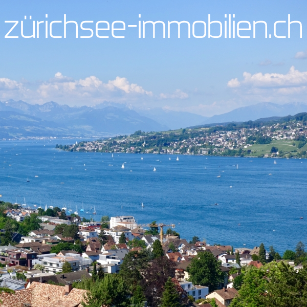 zürichsee-immobilien.ch
