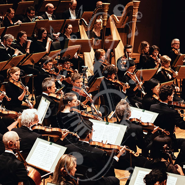 philharmonische -gesellschaft.de